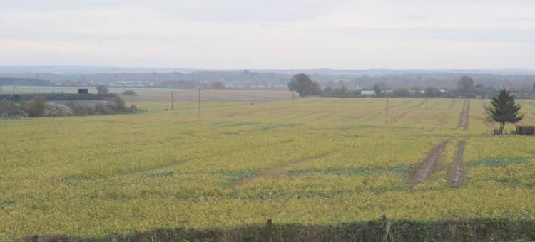 铃铛和瓶子酒店(The Bell and Bottle)图片