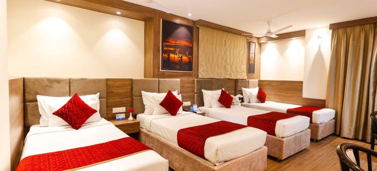 海豚国际酒店(Hotel Dolphin International)图片
