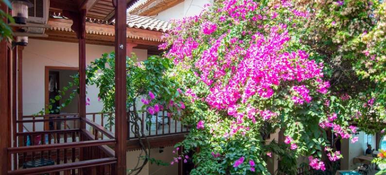 达利安康纳苏酒店(Hotel Konak Su)图片