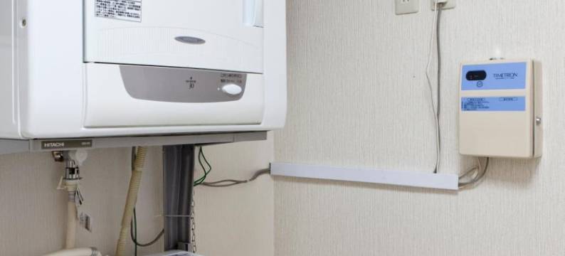 新大久保国际酒店(The Shin-Okubo International Hotel)图片