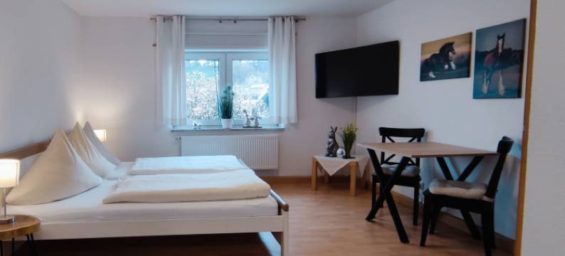 杜尔施罕克酒店(Dorfschänke Deggendorf Hotel & Apartmenthaus)图片