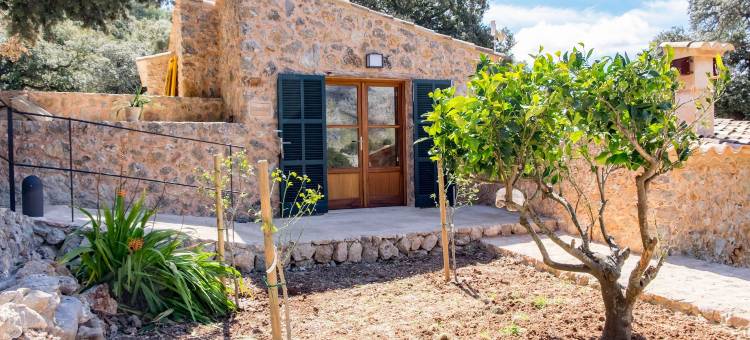 松阿尔兹内斯农家乐(Agroturismo Son Alzines)图片