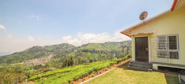 尼尔吉里斯温泉(The Springs Nilgiris)图片