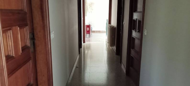 卡尔金(Cal Kim)图片