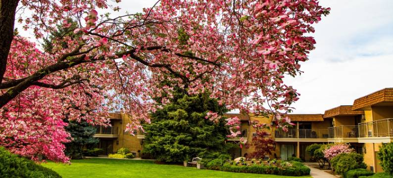 米拉博公园酒店(Mirabeau Park Hotel)图片