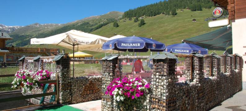 及时行乐家庭旅馆(Hotel Carpe Diem)图片