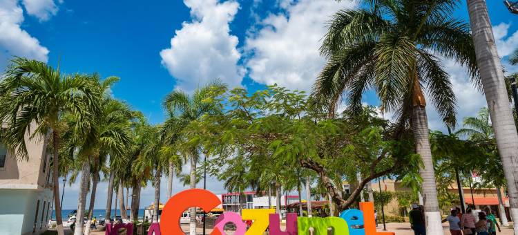 Kippal - 现代绿洲 - 公寓酒店(Kippal - Modern Oasis - ApartHotel)图片