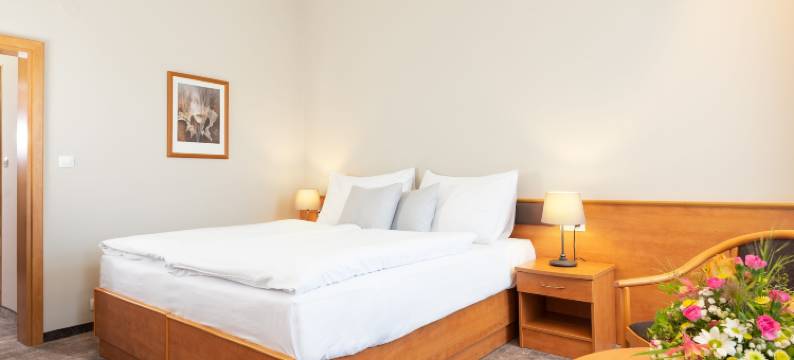 塞斯卡克鲁纳酒店(Hotel Česká Koruna)图片