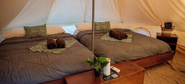 Seren帐篷酒店(Seren Glamping)图片