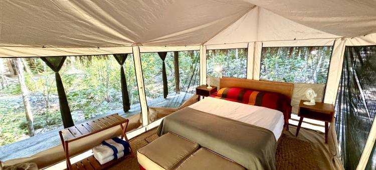 荷花露营(Glamping Bunga Lotus)图片