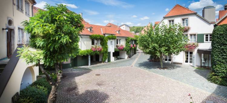 阿拉库尔酒店(Hotel & Spa A la cour d'Alsace by HappyCulture)(A la Cour d'Alsace by HappyCulture)图片