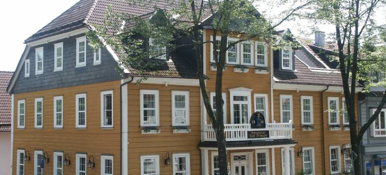 哈尔兹王子酒店(Harzhotel Zum Prinzen)图片