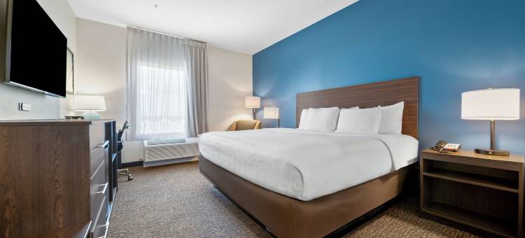 萨尔弗温德姆拉昆塔套房酒店(La Quinta Inn & Suites by Wyndham Sulphur (Lake Charles))图片