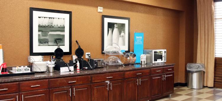 斯蒂芬维尔欢朋套房酒店(Hampton Inn & Suites Stephenville)图片