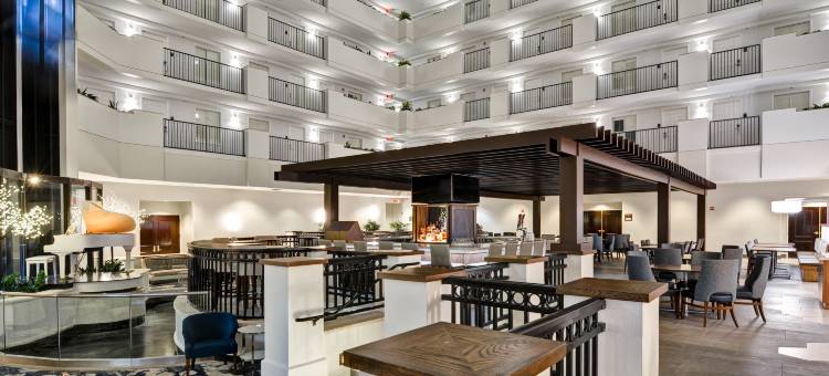 奥兰多市中心希尔顿安泊酒店(Embassy Suites by Hilton Orlando Downtown)图片