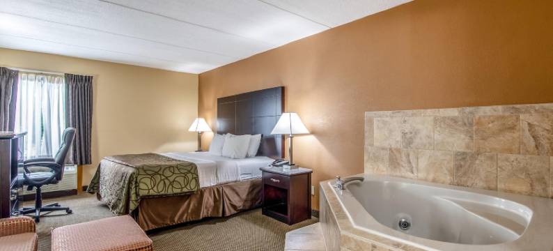 塔利I-81凯艺酒店(Quality Inn Tully I-81)图片