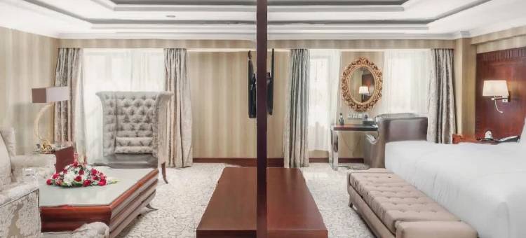 千禧阿基克酒店(Millennium Al Aqeeq Hotel)图片