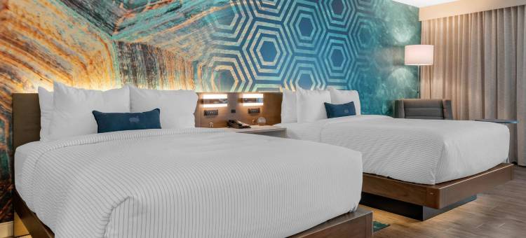 圣彼得堡-马德拉海滩码头坎布里亚酒店(Cambria Hotel St Petersburg-Madeira Beach Marina)图片