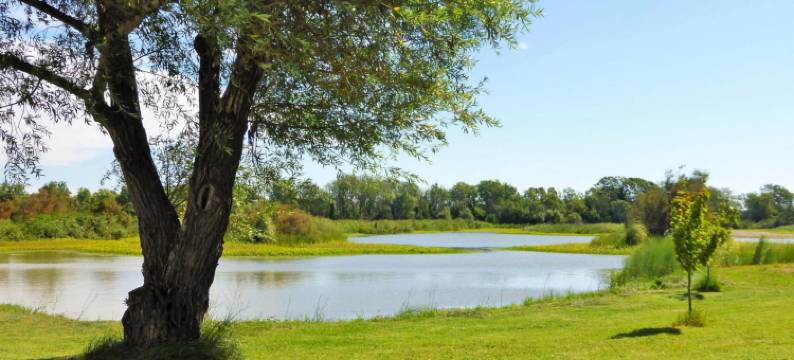 Holiday Home in Camargue with Private Pool图片