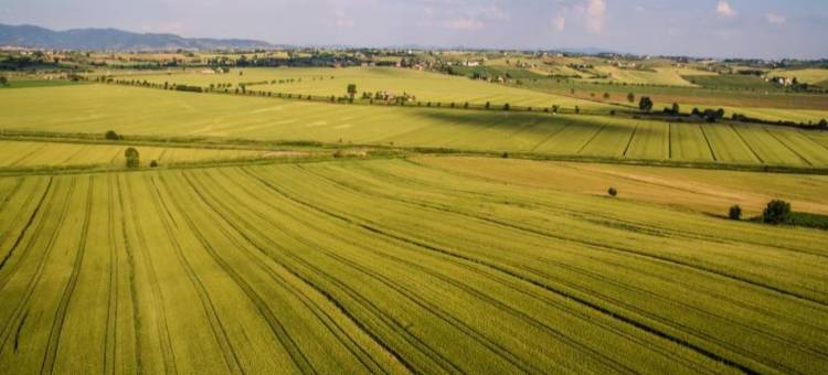 Holiday Home in Cortona with Pool & Valley Views图片