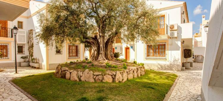 Retreat Near Vera Beaches图片