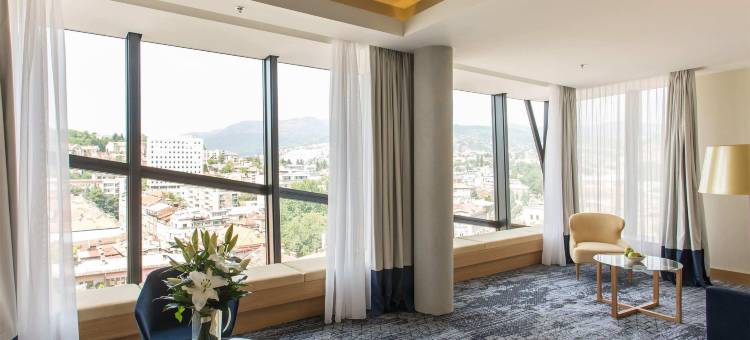 萨拉热窝瑞士酒店(Swissôtel Sarajevo)图片