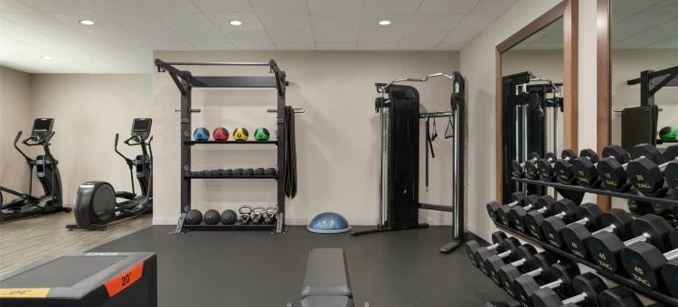 希尔顿坦帕布什花园区欢朋酒店及套房(Hampton Inn and Suites by Hilton Tampa Busch Gardens Area)图片