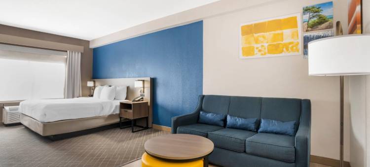 加斯托尼亚-夏洛特舒适套房酒店(Comfort Suites Gastonia - Charlotte)图片