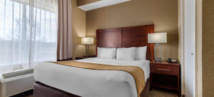 卡姆登舒适酒店及套房(Comfort Inn & Suites)图片