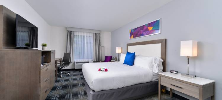 智选假日套房圣迭戈东北 - 酒店圈(Holiday Inn Express & Suites San Diego - Mission Valley)图片