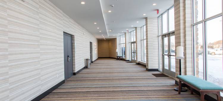 芒特普林森假日套房酒店(Holiday Inn & Suites Mount Pleasant)图片