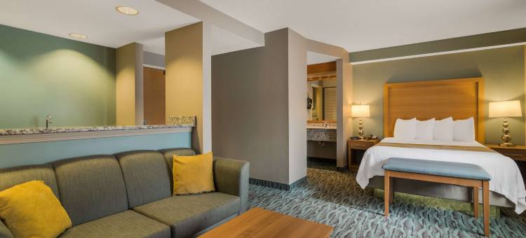 行政及会议中心贝斯特韦斯特优质酒店(Best Western Plus Executive Court Inn  Conference Center)图片