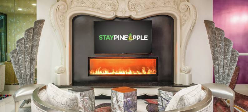 菠萝居住艺术酒店, 中城(Staypineapple, An Artful Hotel, Midtown New York)图片