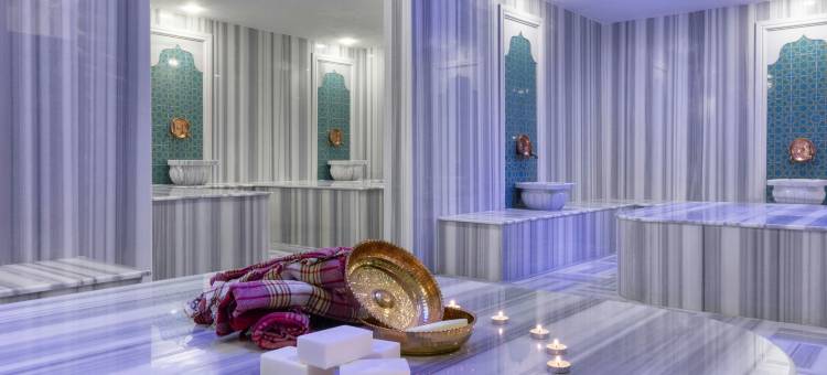 福朋喜来登酒店埃拉齐格(Four Points by Sheraton Elazig)图片