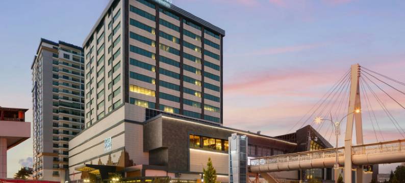 福朋喜来登酒店埃拉齐格(Four Points by Sheraton Elazig)图片