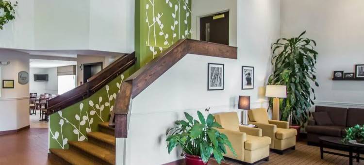 舒眠酒店及套房(Sleep Inn & Suites)图片