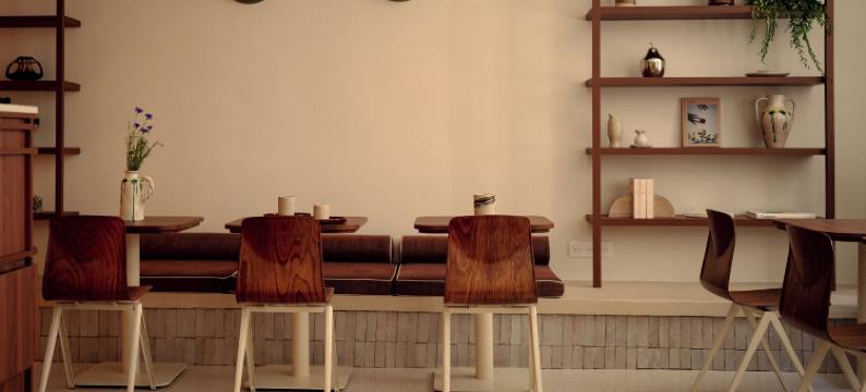 茶花国际(Camelia International)图片