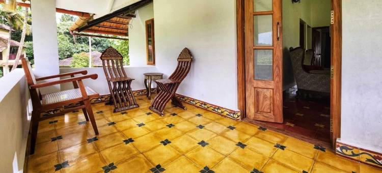 交谈树(Talking Trees)图片