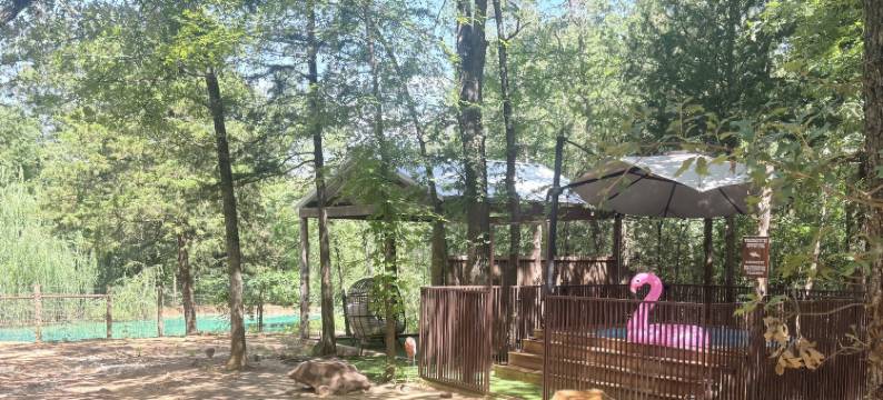 橡树草甸牧场(Oak Meadow Ranch)图片