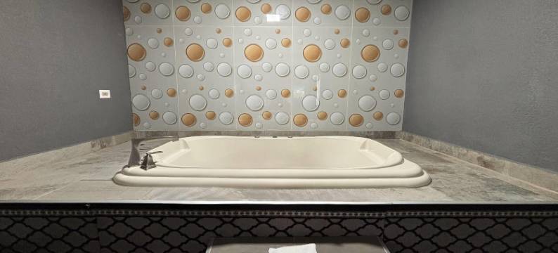 贝尔维尔圣路易斯地区速8酒店(Super 8 by Wyndham Belleville IL/St. Louis Area)图片