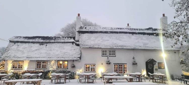 圣艾夫斯老游轮酒店 - 格林国王旅馆(Old Ferry Boat by Greene King Inns)图片