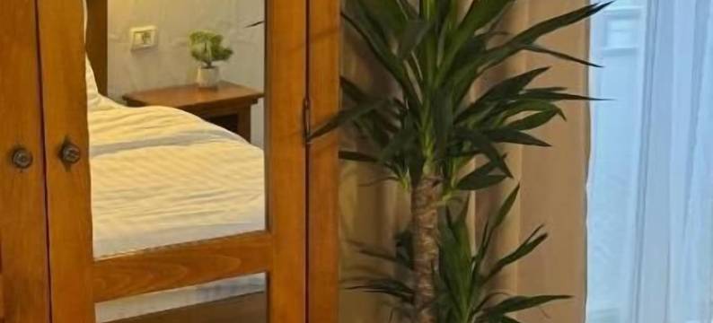 露西之星酒店(Hotel Lucy Star)图片