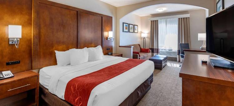 史蒂文生牧场舒舒适套房酒店(Comfort Suites Near Six Flags Magic Mountain)图片