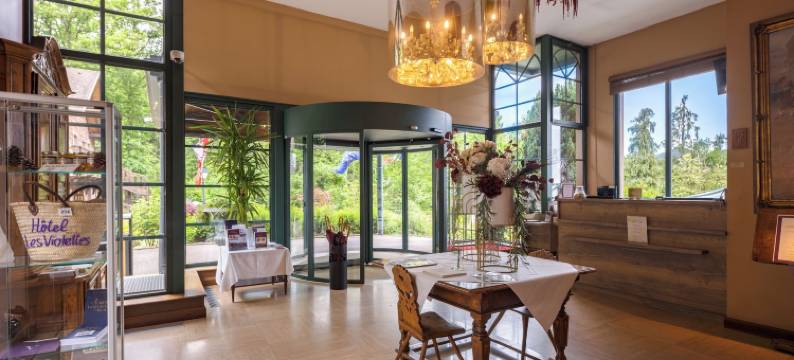 Hôtel & Spa les Violettes图片