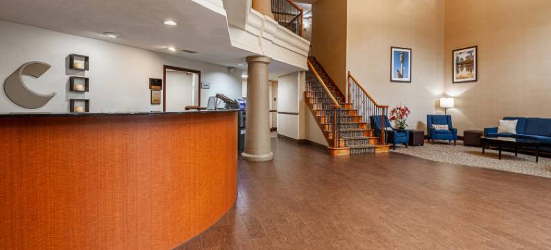 亚特兰大南部莫罗舒适套房酒店(Comfort Suites Morrow- Atlanta South)图片