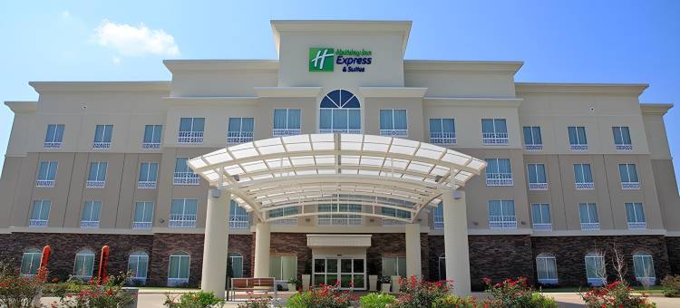 智选假日套房酒店伯锡尔城(Holiday Inn Express & Suites BOSSIER CITY by IHG)图片