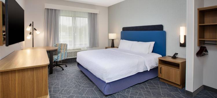 底特律-贝尔维尔机场区域欢朋旅馆(Hampton Inn Detroit/Belleville-Airport Area)图片