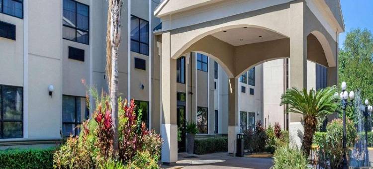 Spark休斯敦加勒里亚购物中心酒店by Hilton(Spark by Hilton Houston Near the Galleria)图片