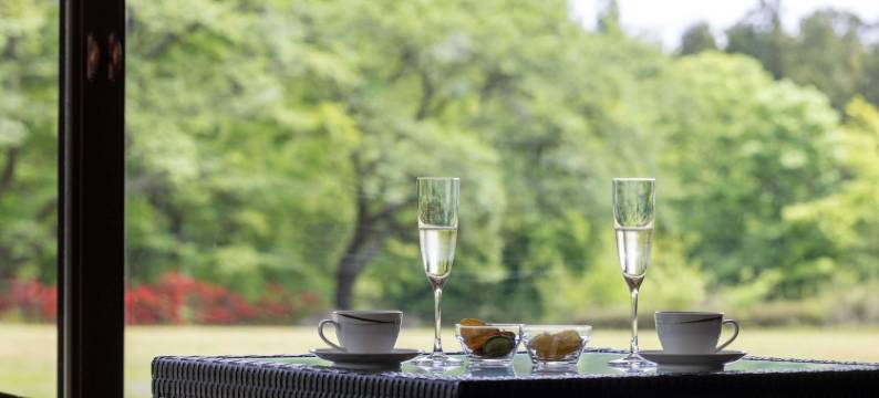 宮城蔵王美居温泉度假酒店(Mercure Miyagi Zao Resort & Spa)图片