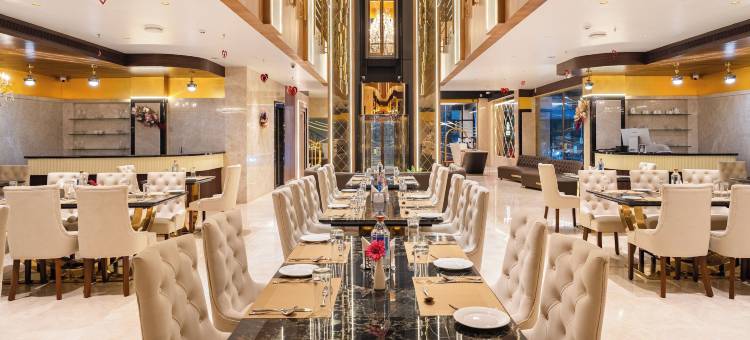 拉坦国际酒店(Ratan International)图片